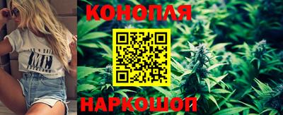 прущие грибы Пушкино