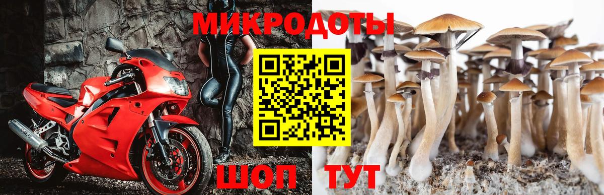 Галлюциногенные грибы мухоморы  Вход с VPN  Галлюциногенные грибы Cubensis  Северск 